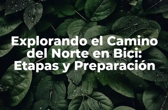 Explorando el Camino Del Norte en Bici: Etapas y Preparación