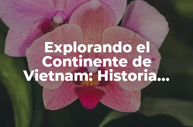 Explorando el Continente de Vietnam: Historia, Cultura y Atractivos Turísticos