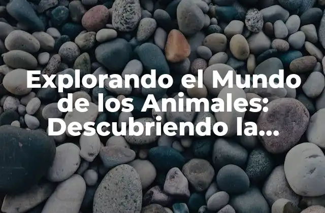 Explorando el Mundo de los Animales: Descubriendo la Diversidad y la Complejidad