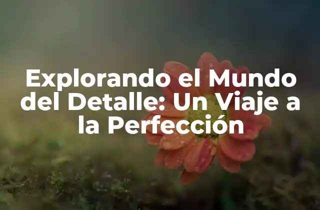 Explorando el Mundo Del Detalle: un Viaje a la Perfección