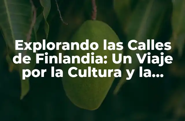 Explorando las Calles de Finlandia: un Viaje por la Cultura y la Historia