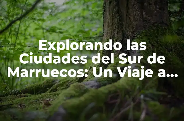 Explorando las Ciudades Del Sur de Marruecos: un Viaje a Lo Desconocido