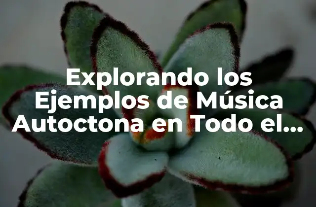 Explorando los Ejemplos de Música Autoctona en Todo el Mundo