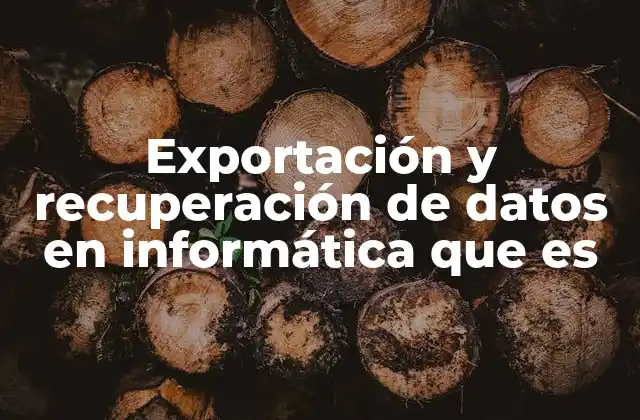 Exportación y Recuperación de Datos en Informática que es 2 El papel de la gestión de datos en la digitalización empresarial