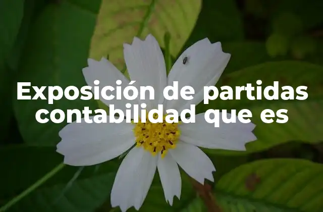 Exposición de Partidas Contabilidad que es