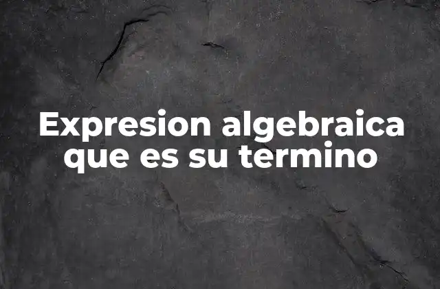 Expresion Algebraica que es Su Termino