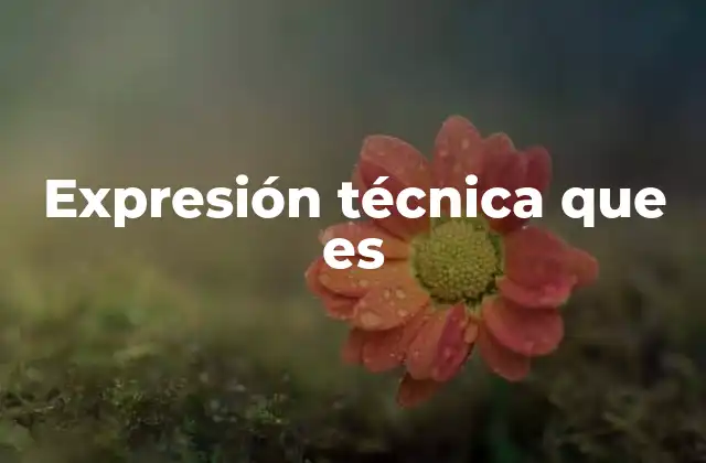 Expresión Técnica que es