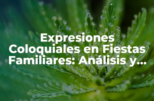 Expresiones Coloquiales en Fiestas Familiares: Análisis y Ejemplos