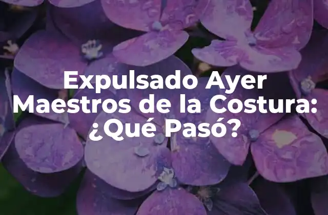 Expulsado Ayer Maestros de la Costura: ¿qué Pasó? 2 La Historia de los Maestros de la Costura: De la Popularidad al Caos