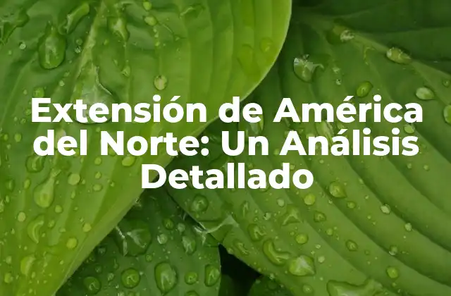 Extensión de América Del Norte: un Análisis Detallado