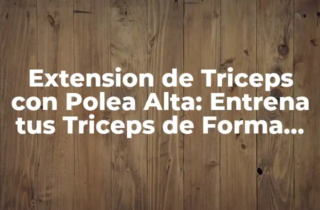Extension de Triceps con Polea Alta: Entrena Tus Triceps de Forma Efectiva