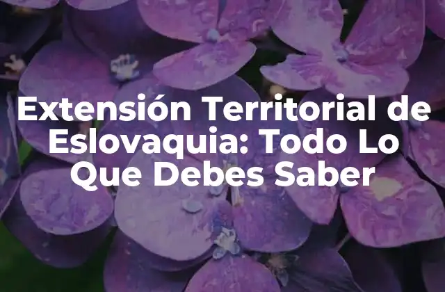 Extensión Territorial de Eslovaquia: Todo Lo que Debes Saber 2 La Formación de la Extensión Territorial de Eslovaquia