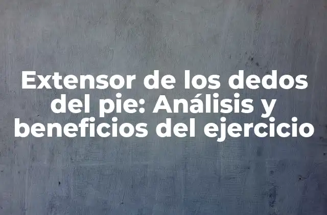 ¿Qué es el extensor de los dedos del pie?