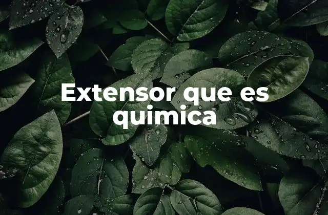 Extensor que es Quimica