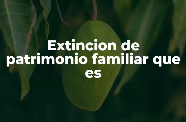Extincion de Patrimonio Familiar que es 2 Causas y efectos de la disolución familiar