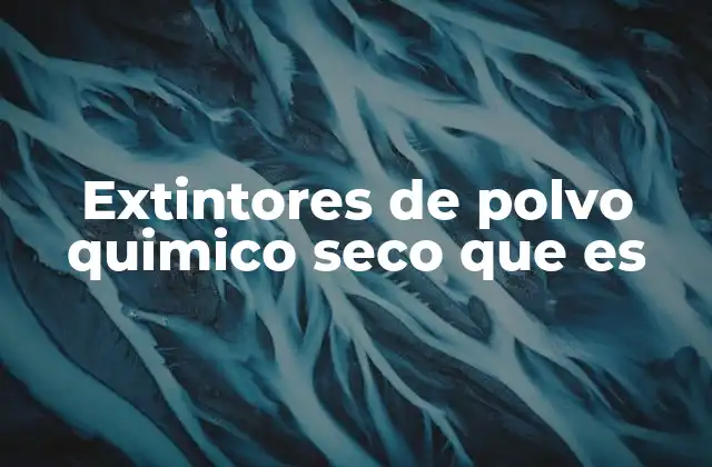 Extintores de Polvo Quimico Seco que es
