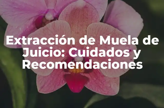Extracción de Muela de Juicio: Cuidados y Recomendaciones
