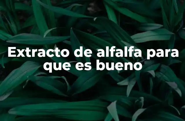 Extracto de Alfalfa para que es Bueno
