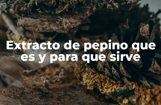 El pepino en la industria cosmética y su conversión en extracto