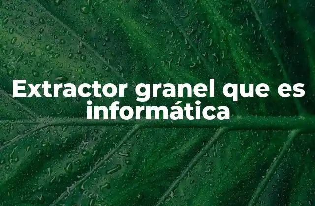 Extractor Granel que es Informática