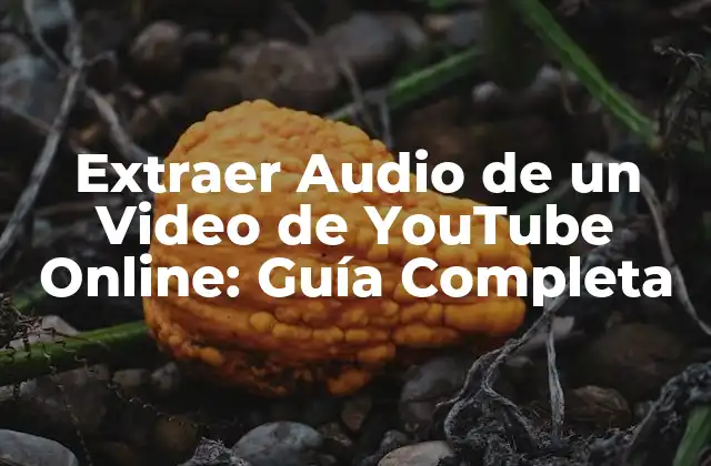 Extraer Audio de un Video de Youtube Online: Guía Completa