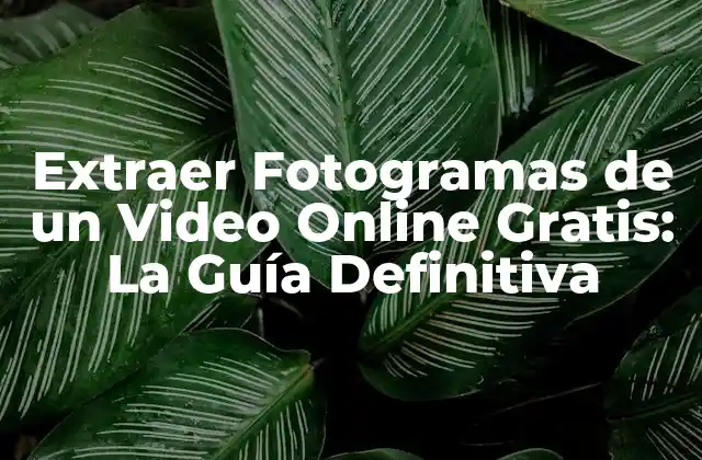 Extraer Fotogramas de un Video Online Gratis: la Guía Definitiva
