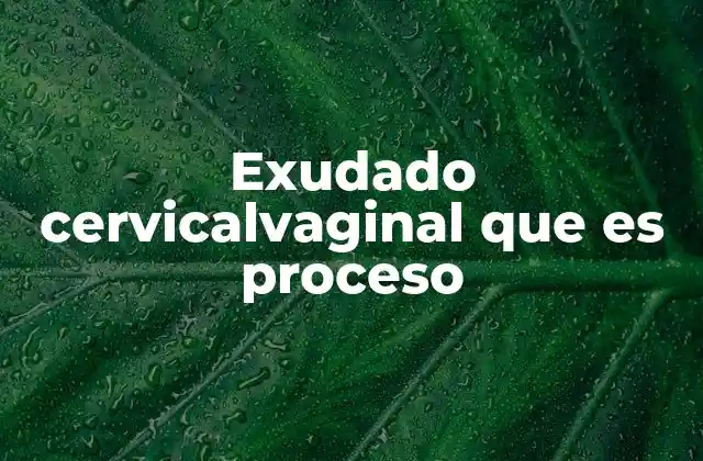 El papel del exudado en la salud femenina
