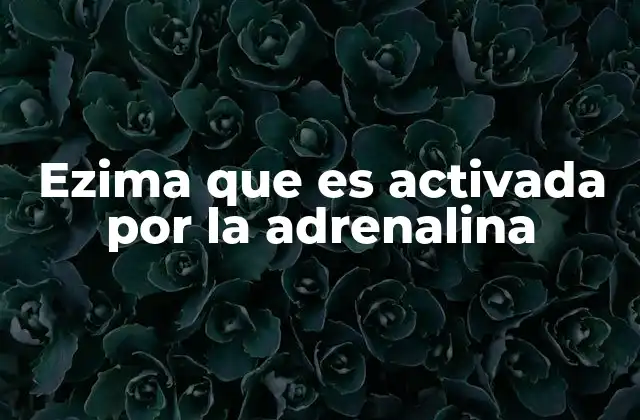 El papel de las enzimas en la respuesta al estrés