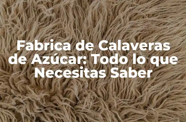 Fabrica de Calaveras de Azúcar: Todo Lo que Necesitas Saber
