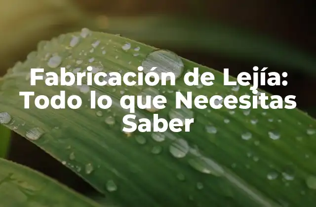 Fabricación de Lejía: Todo Lo que Necesitas Saber 2 Historia de la Lejía