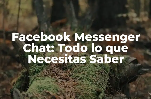 Facebook Messenger Chat: Todo Lo que Necesitas Saber