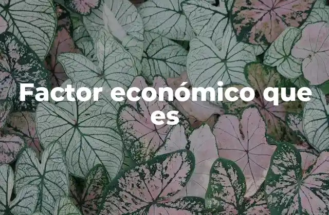 Factor Económico que es