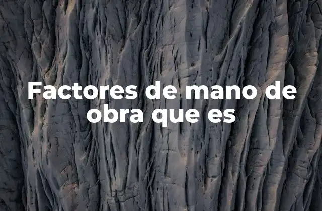 Factores de Mano de Obra que es