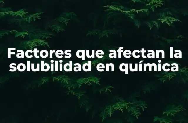 Factores que Afectan la Solubilidad en Química