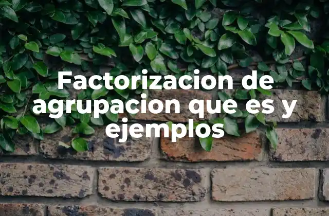Factorizacion de Agrupacion que es y Ejemplos