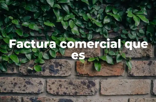 Factura Comercial que es