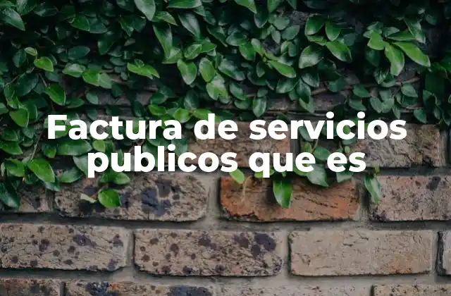 Factura de Servicios Publicos que es