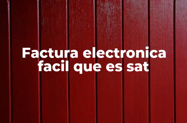 Factura Electronica Facil que es Sat