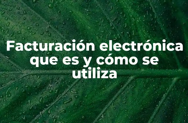 Facturación Electrónica que es y Cómo Se Utiliza