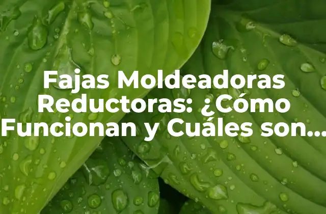 Fajas Moldeadoras Reductoras: ¿cómo Funcionan y Cuáles Son Sus Beneficios?