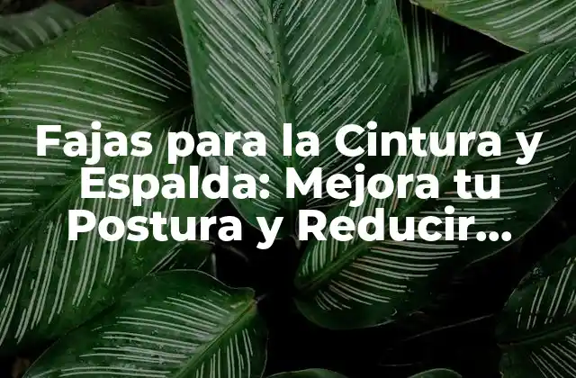 Fajas para la Cintura y Espalda: Mejora Tu Postura y Reducir Dolor 2 ¿Cómo Funcionan las Fajas para la Cintura y Espalda?