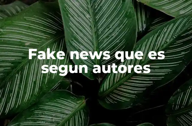 Fake News que es Segun Autores