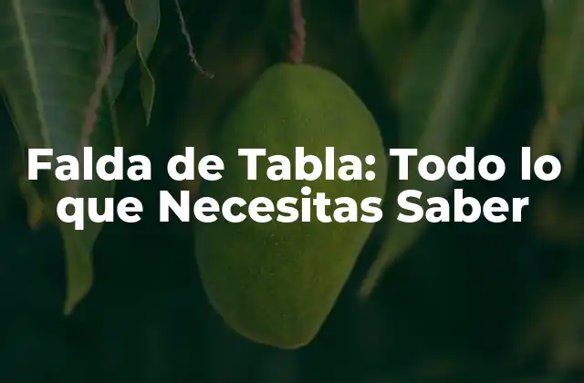 Falda de Tabla: Todo Lo que Necesitas Saber
