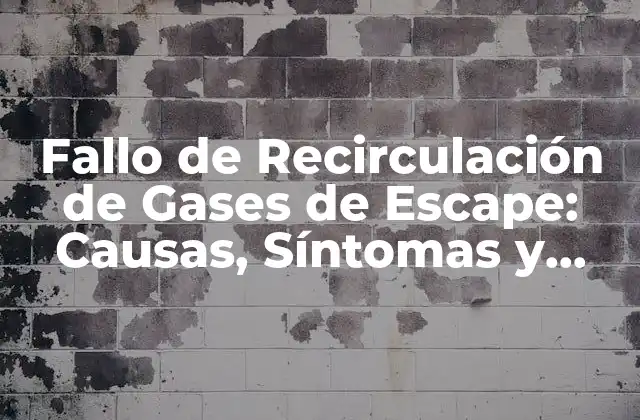 ¿Cómo Funciona la Recirculación de Gases de Escape?