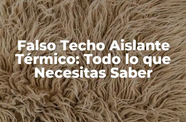 Falso Techo Aislante Térmico: Todo Lo que Necesitas Saber 2 ¿Qué es un Falso Techo Aislante Térmico?