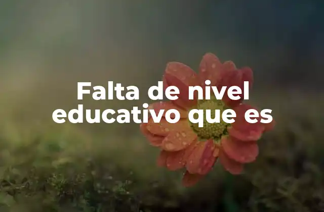 Falta de Nivel Educativo que es