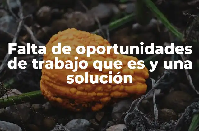 Falta de Oportunidades de Trabajo que es y una Solución