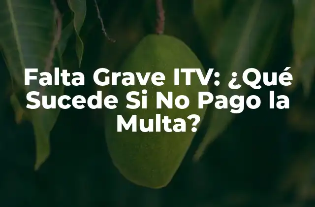 ¿Qué es una Falta Grave ITV?