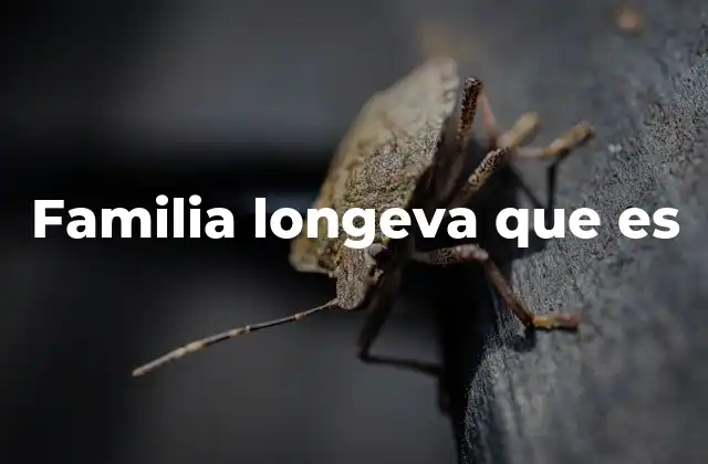 Familia Longeva que es