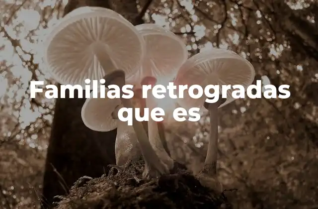 Familias Retrogradas que es 2 Las dinámicas estructurales de las familias tradicionales